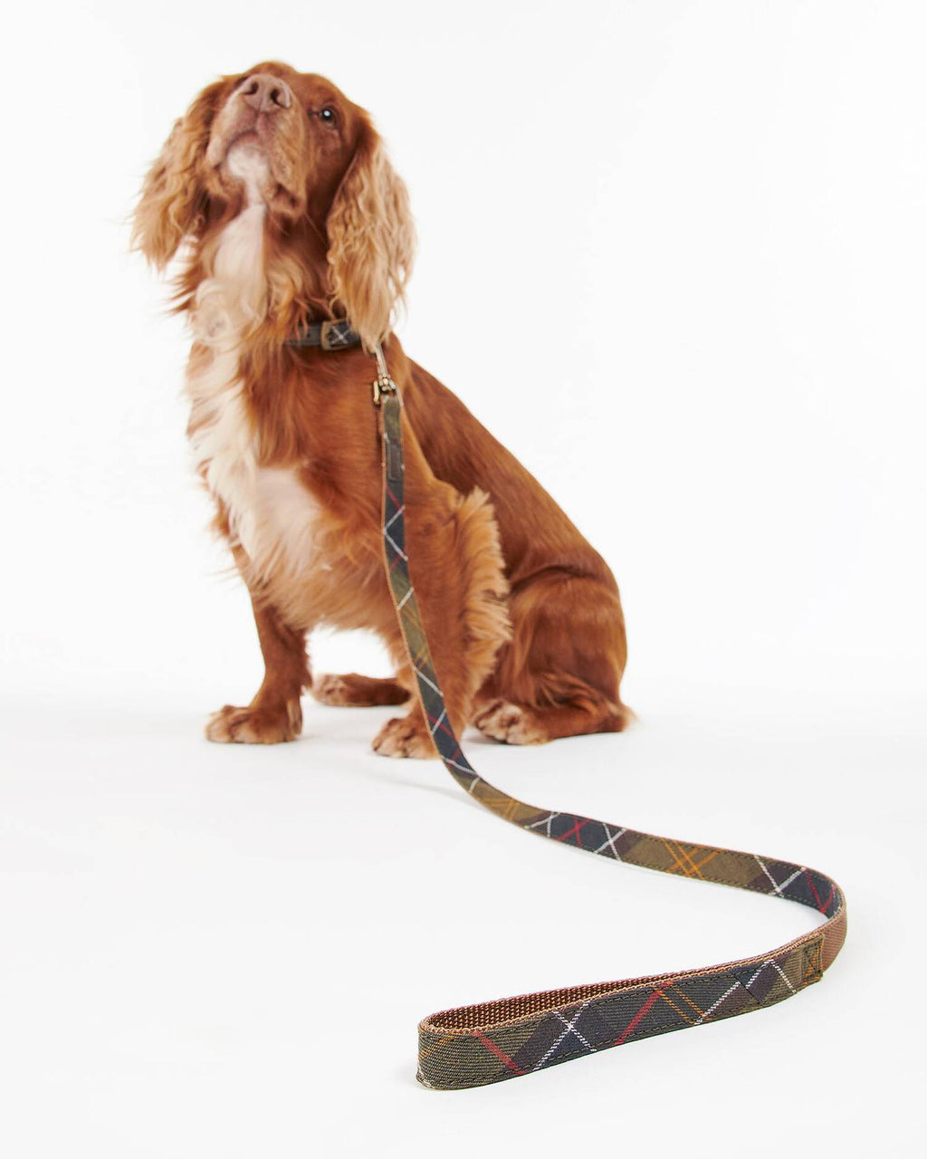 Barbour - Laisse Dog Tartan