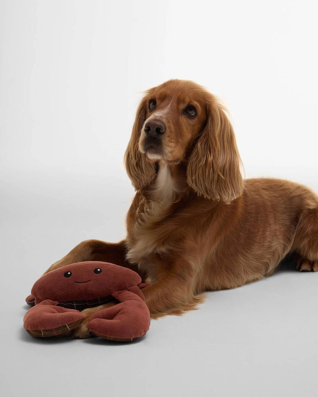 Barbour - Jouet Crab Dog Toy