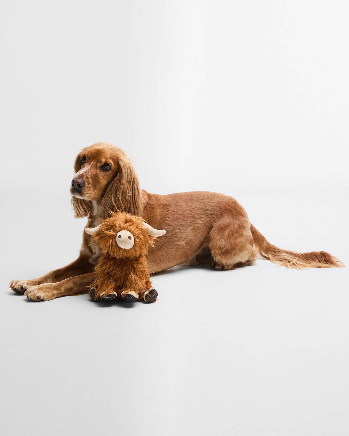Barbour - Jouet pour chien Highland Brown/classic