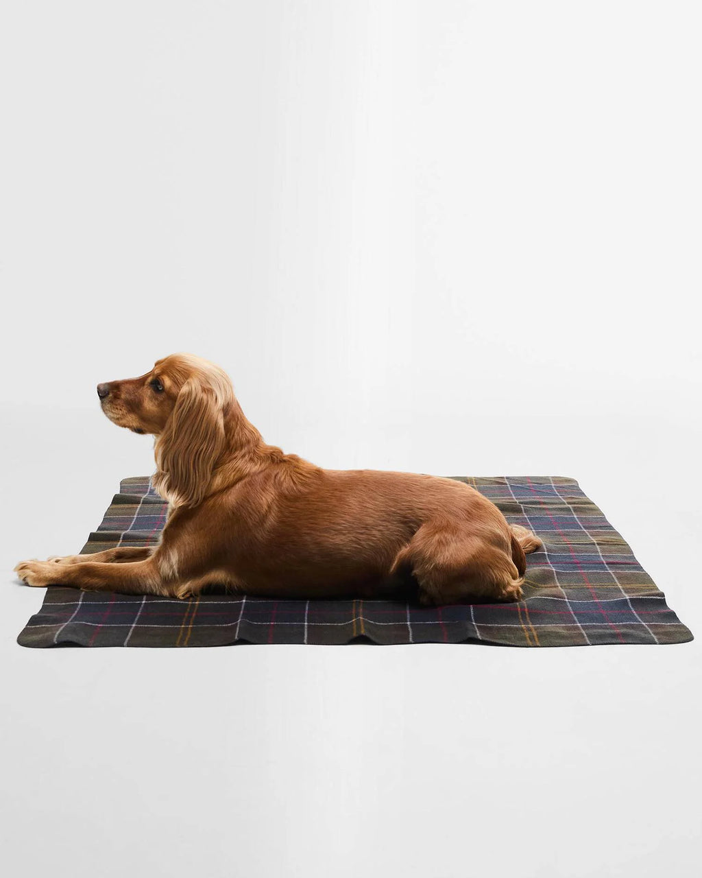 Barbour - Couverture Dog Tartan Blanket Classic Tartan
