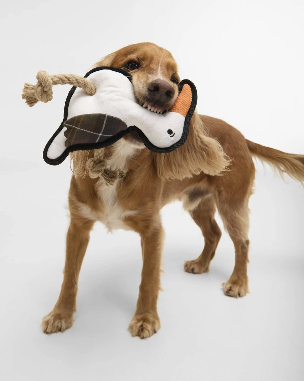 Barbour - Jouet Dog Seabird Toy