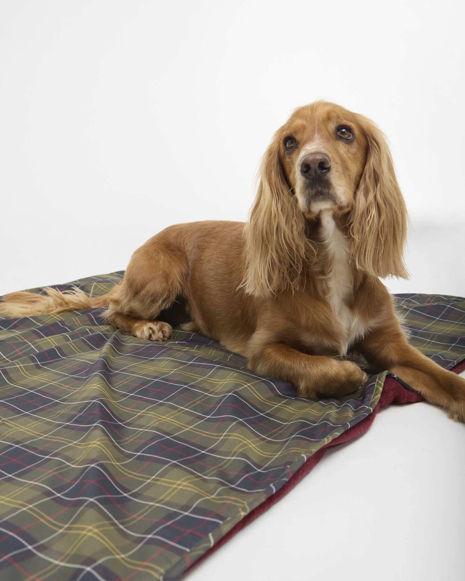 Barbour - Couverture Dog Towel/Blanket Classic Tartan/Red