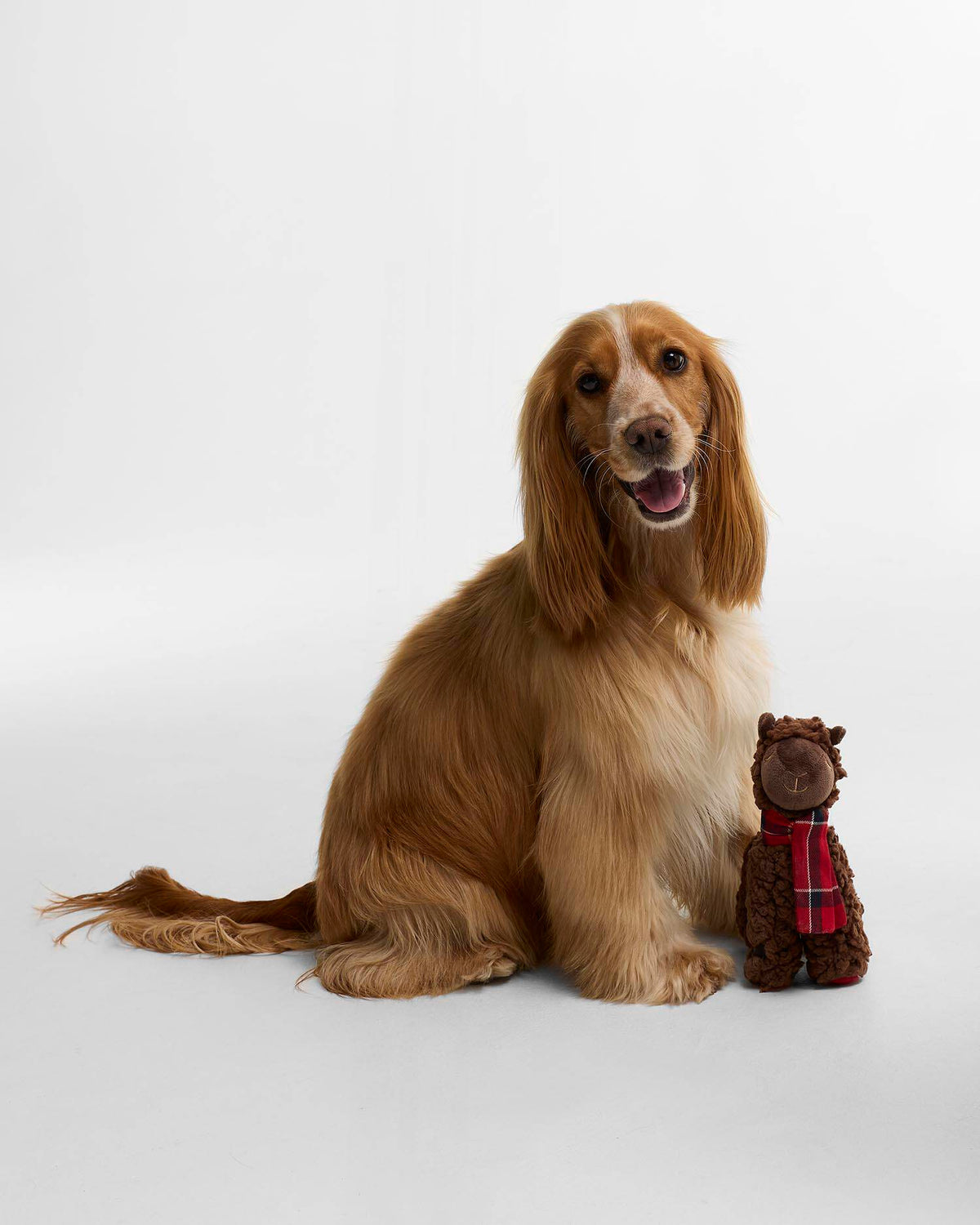 Barbour - Jouet pour chien Llama Brown
