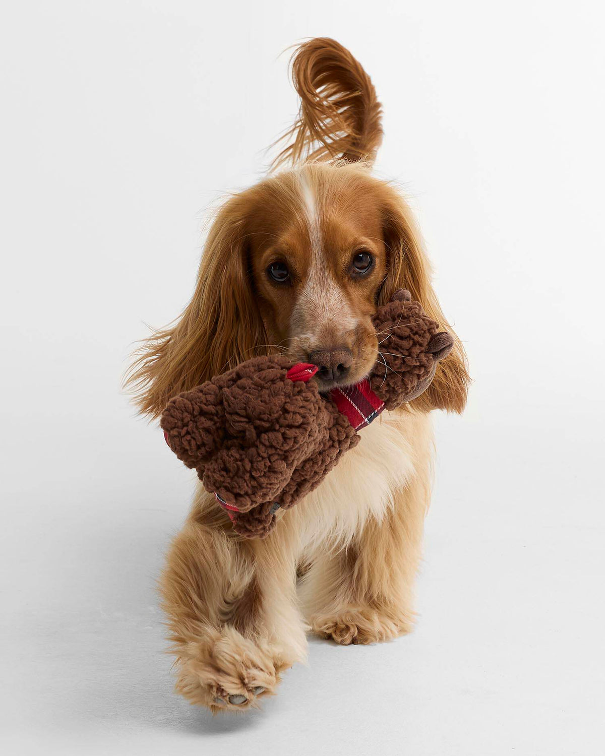 Barbour - Jouet pour chien Llama Brown