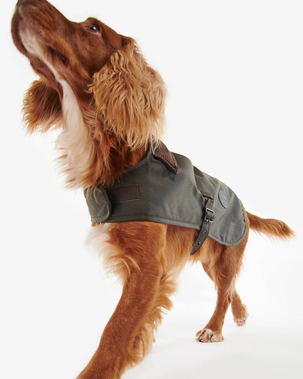 Barbour - Manteau Waxed Dog Coat Olive
