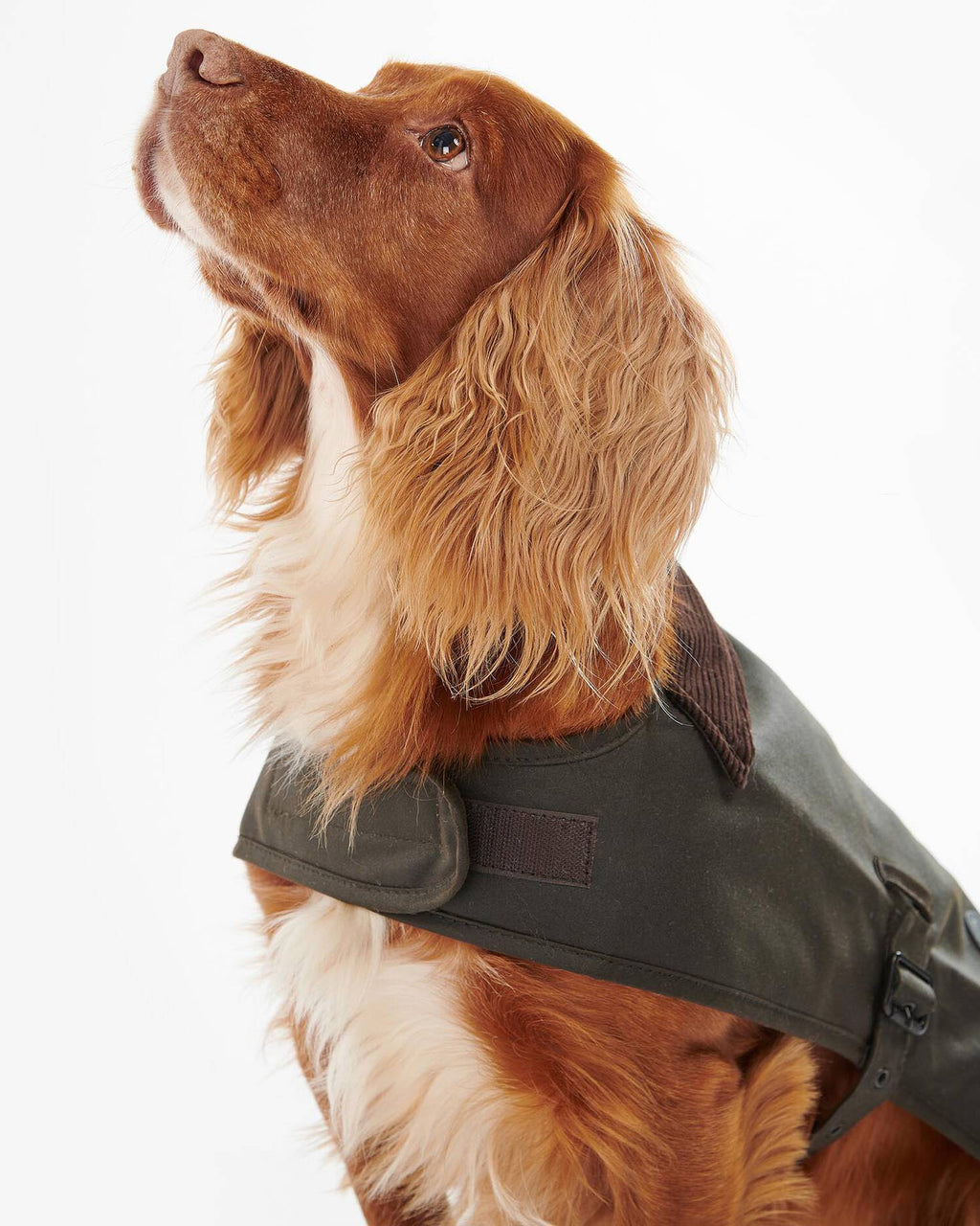 Barbour - Manteau Waxed Dog Coat Olive