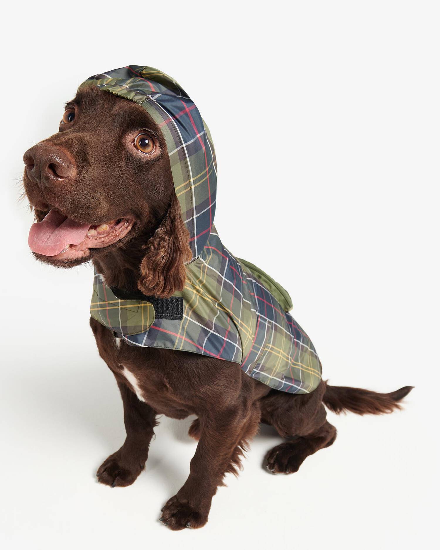 Barbour - Packable Logo Dog Coat Classic Tartan