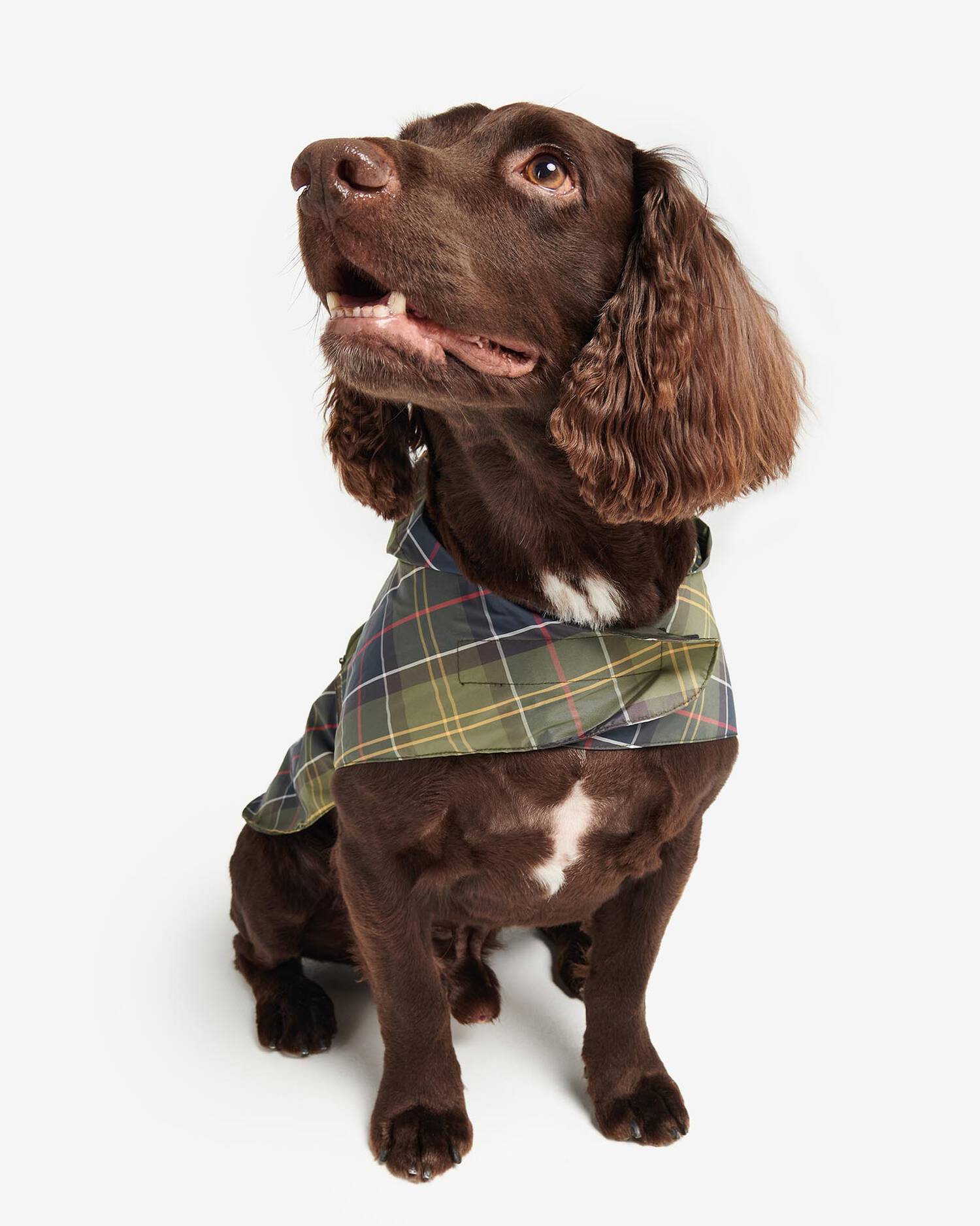 Barbour - Packable Logo Dog Coat Classic Tartan