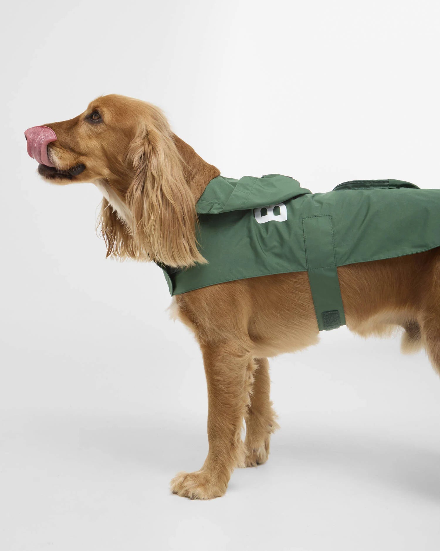 Barbour - Packable Logo Dog Coat Green